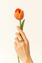 Load image into Gallery viewer, BOLOGNA CRYSO BAGUE